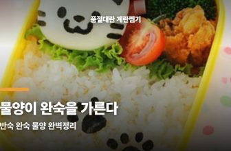 다이소 전기 계란찜기, 물양 안 맞추면 반숙이 완숙 돼버립니다