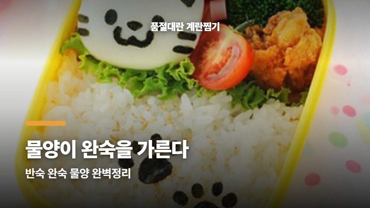 대표썸네일