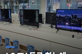 LG TV 라인업 직접 보고 정리한 구매 가이드