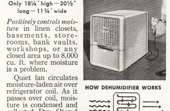 제습기 추천 대표 이미지
