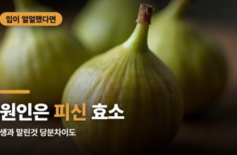 무화과 알레르기 모르고 먹었다가, 입 안이 얼얼해지는 경우
