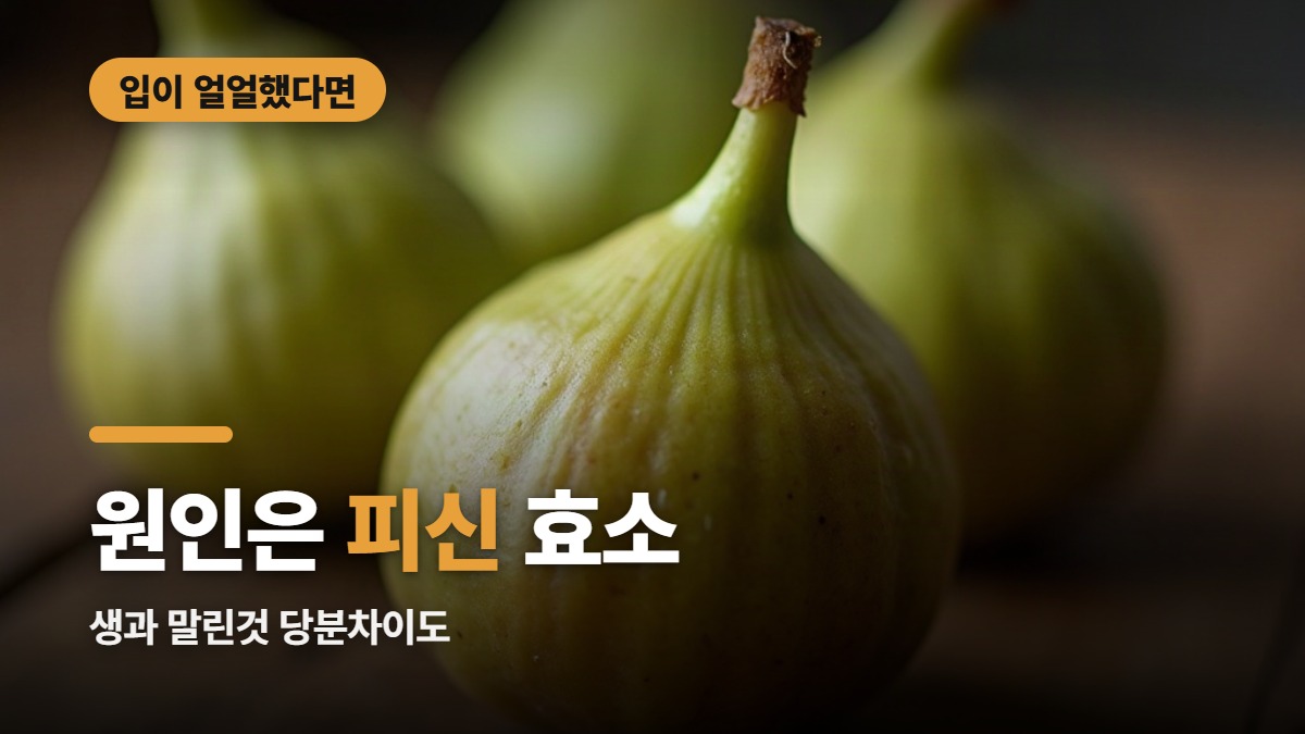 대표썸네일