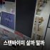 폴드8 울트라 와이드 2종, 일렉트로마트 고르는 기준